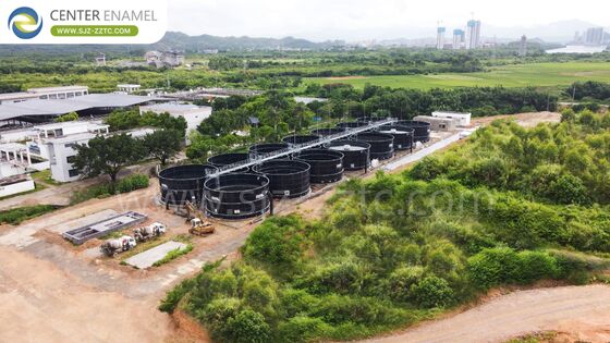 Xử lý chất thải trái cây và rau quả tại Cộng hòa Dân chủ Congo: Nhà thầu dự án khí sinh học với bể GFS