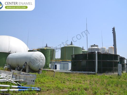 Nhà thầu Dự án Biogas hàng đầu với Quy trình CSTR để Xử lý Phân bò Nam Phi