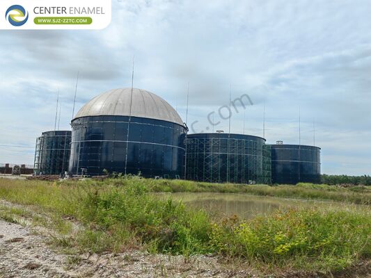 GFS Tanks and Biogas Power Plant Solutions for South Africa Fruit and Vegetable Waste Treatment