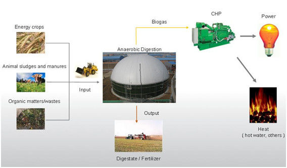 EPC Dự án USR/CSTR Biogas Fermentation Anaerobic Biogas Storage Tank Waste to Energy Plant 1